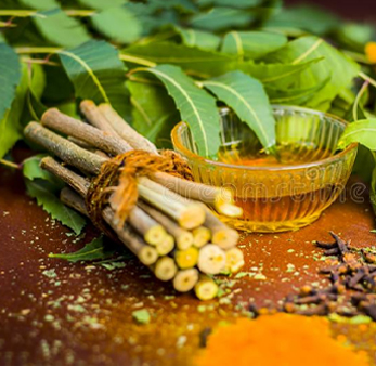 Ayurvedic Franchise